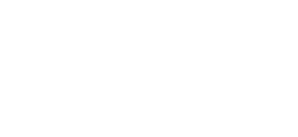 CO. the collectible store